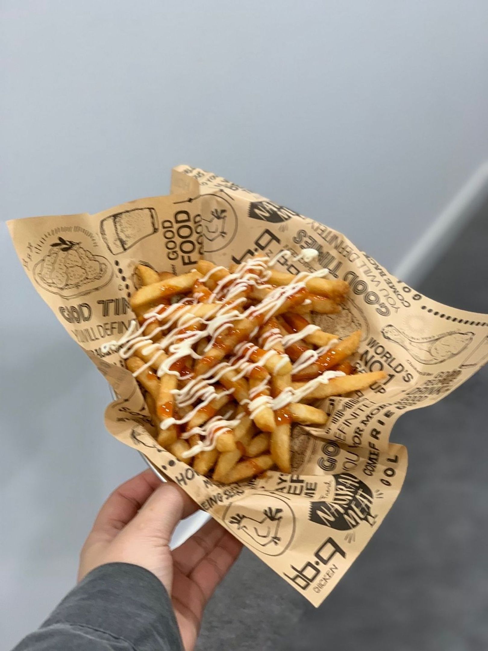 Hot Spicy Fries