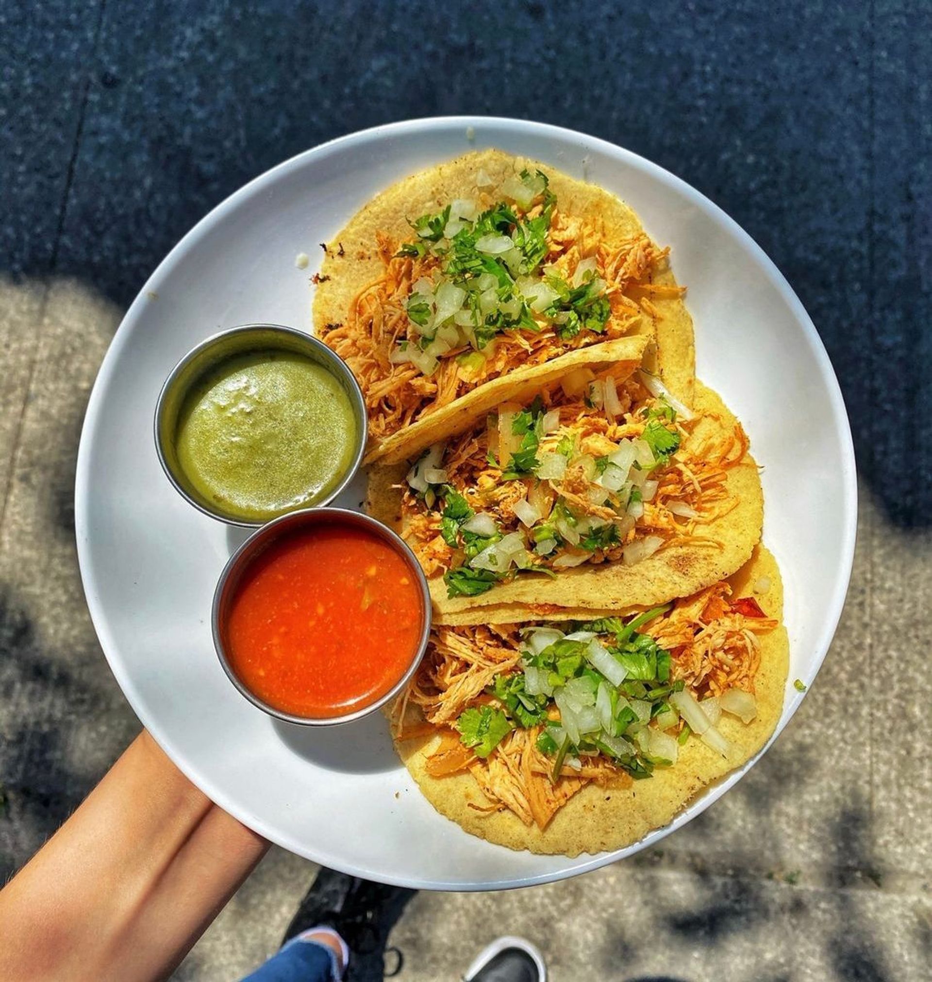 TRIO Tinga de Pollo (Chicken) 