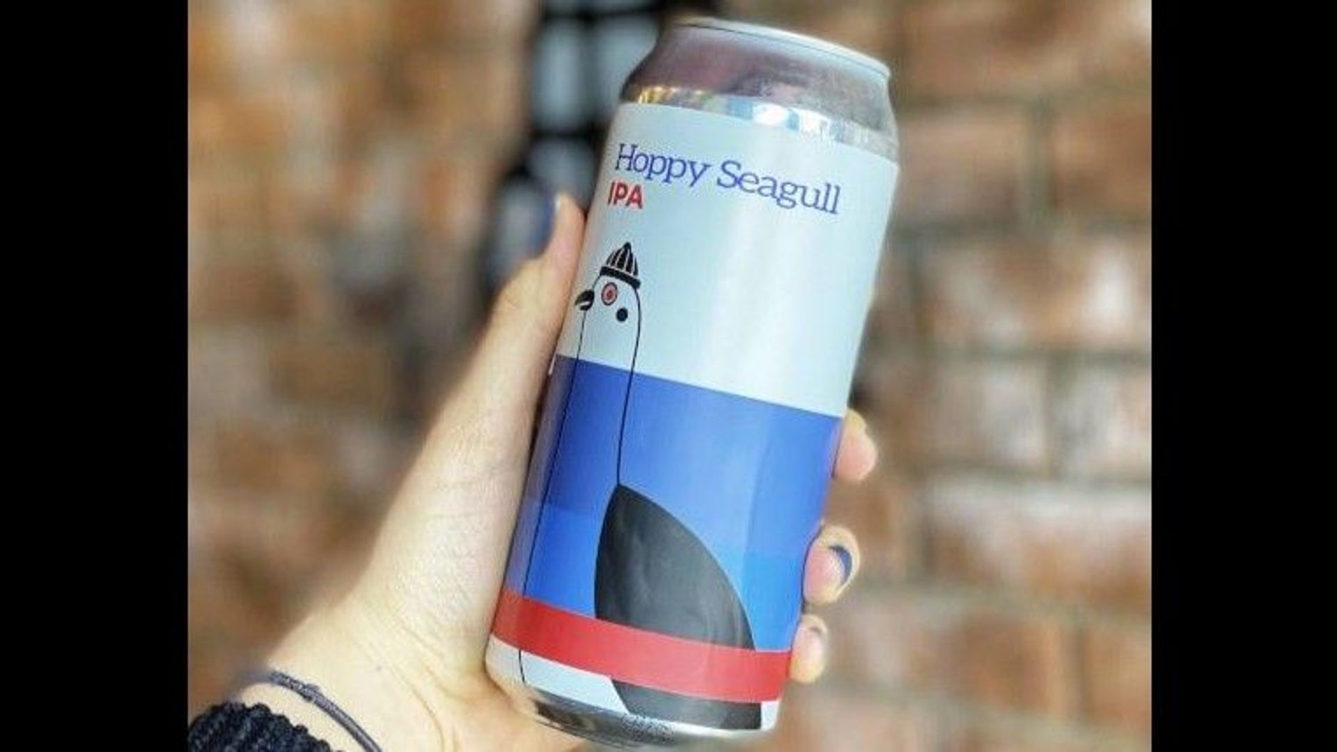 Hoppy Seagull Beer 