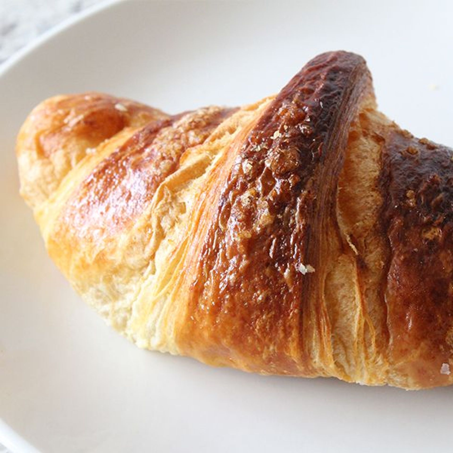 Croissant - Apricot