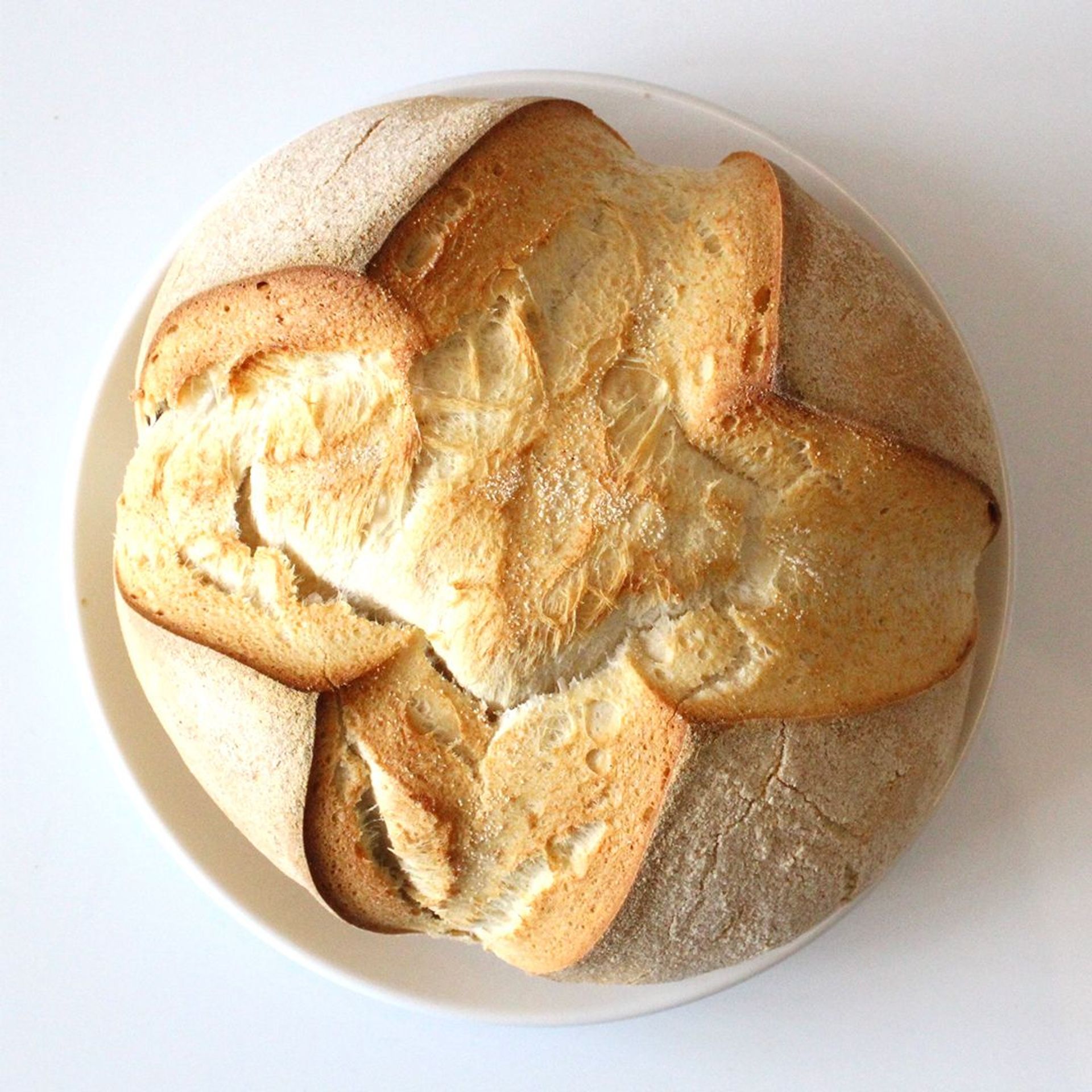 Bread - Sourdough Loaf