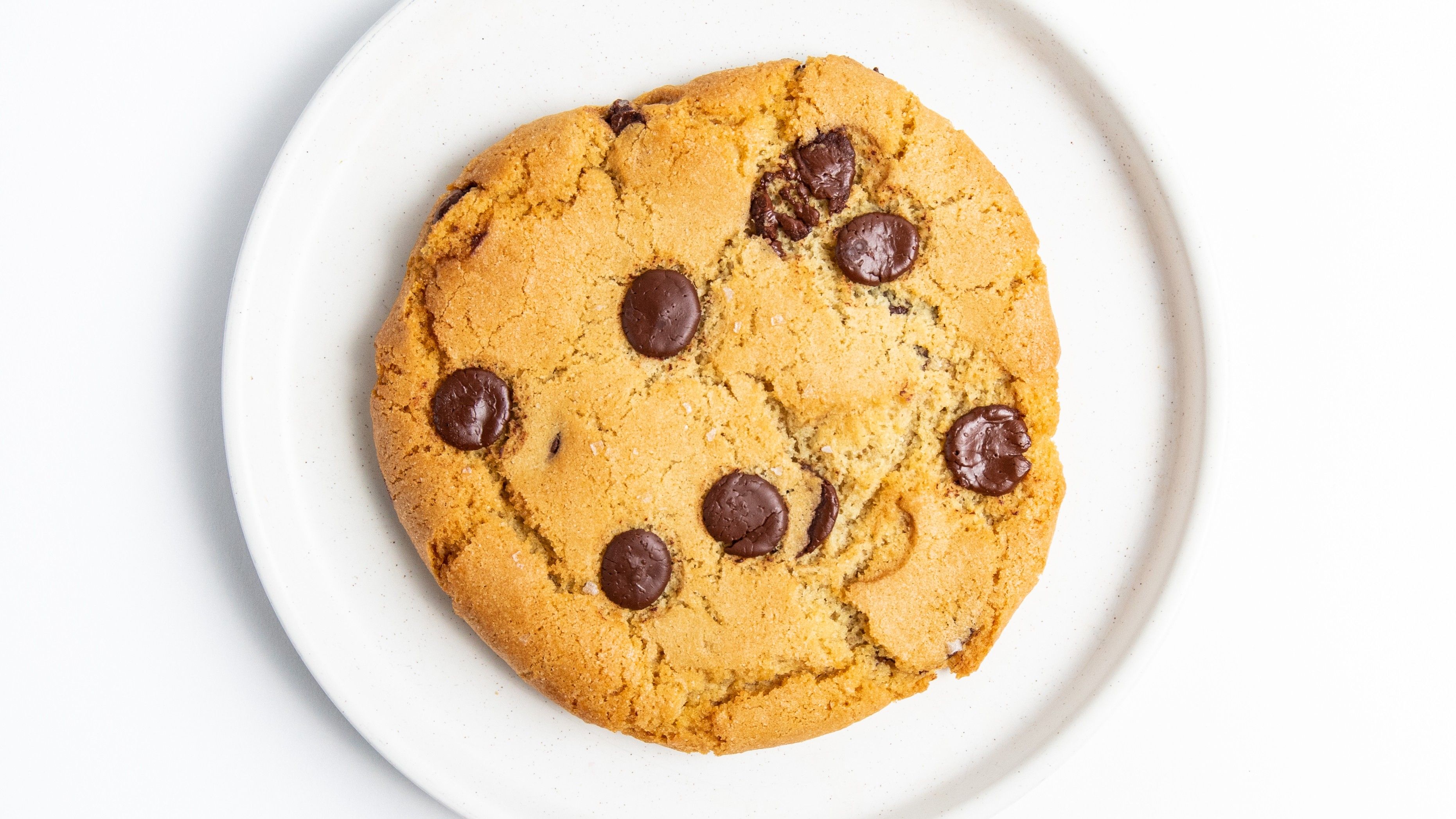 CHOCOLATE CHIP COOKIE