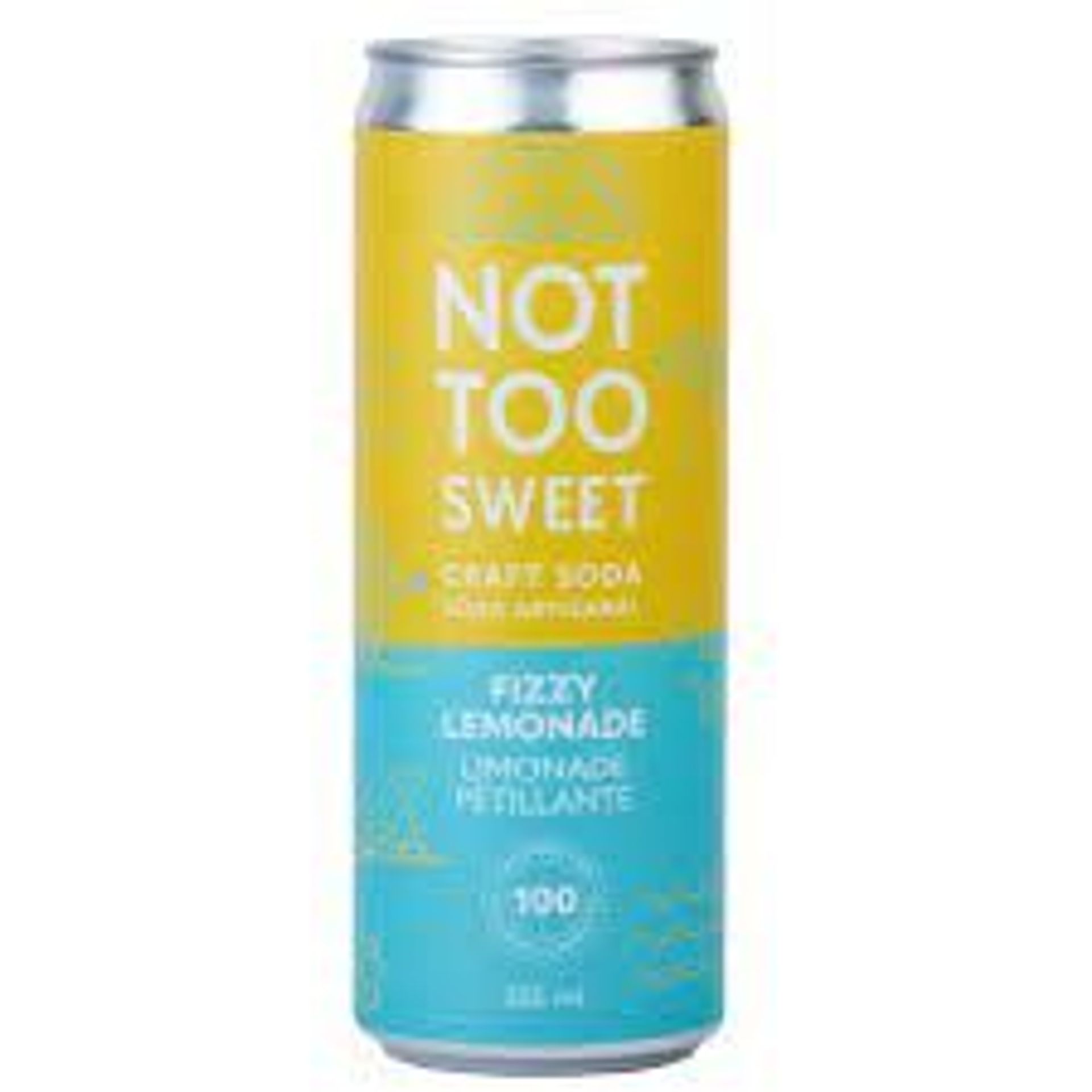 Not Too Sweet Fizzy Lemonade