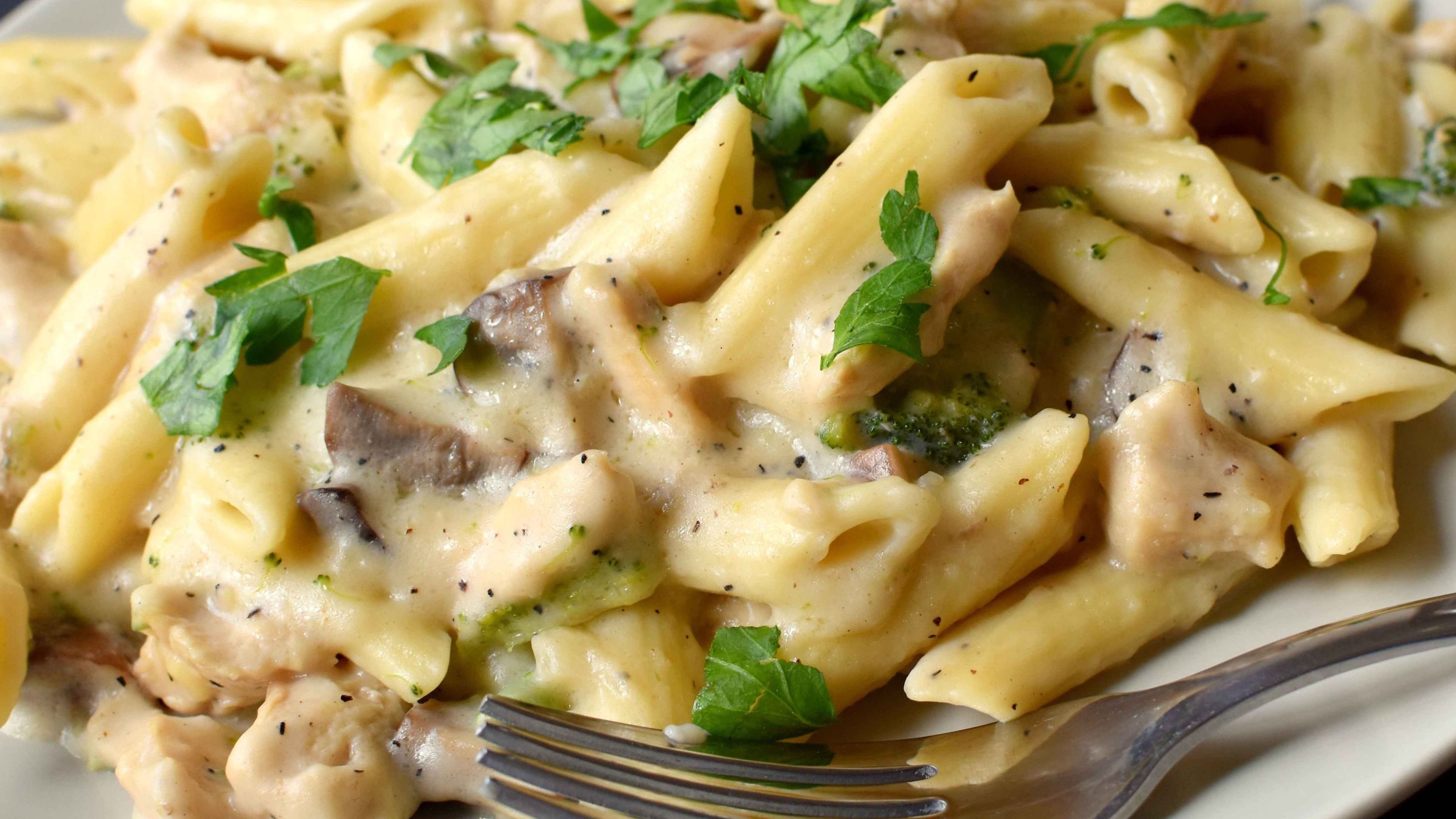 Chicken Alfredo