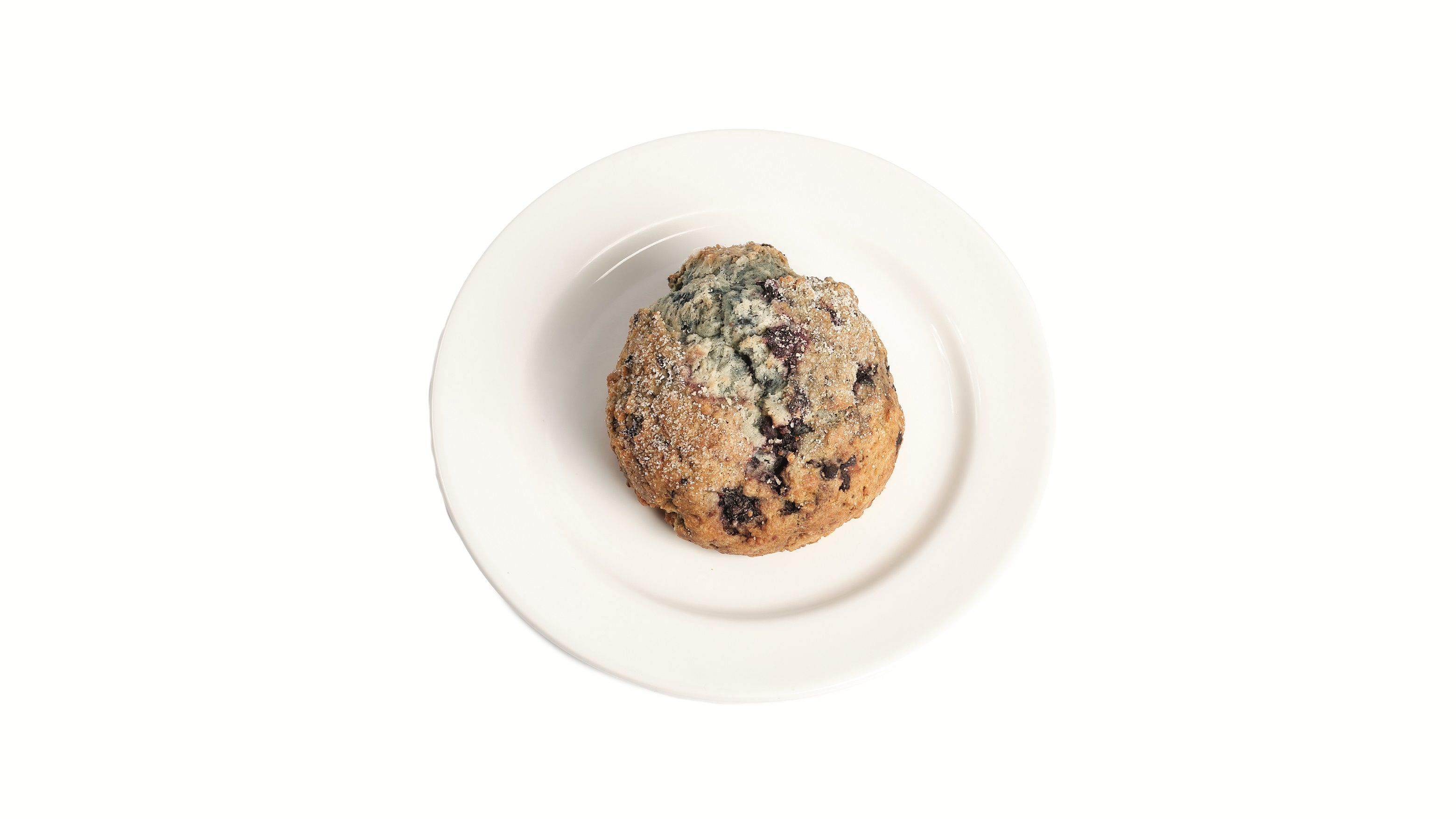 Blueberry Scone