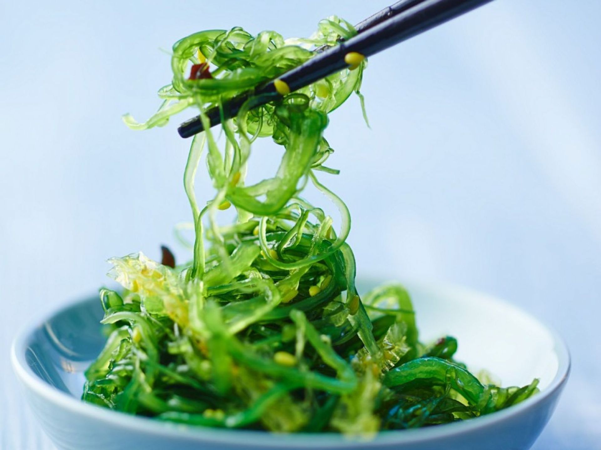 （V）Seaweed Salad