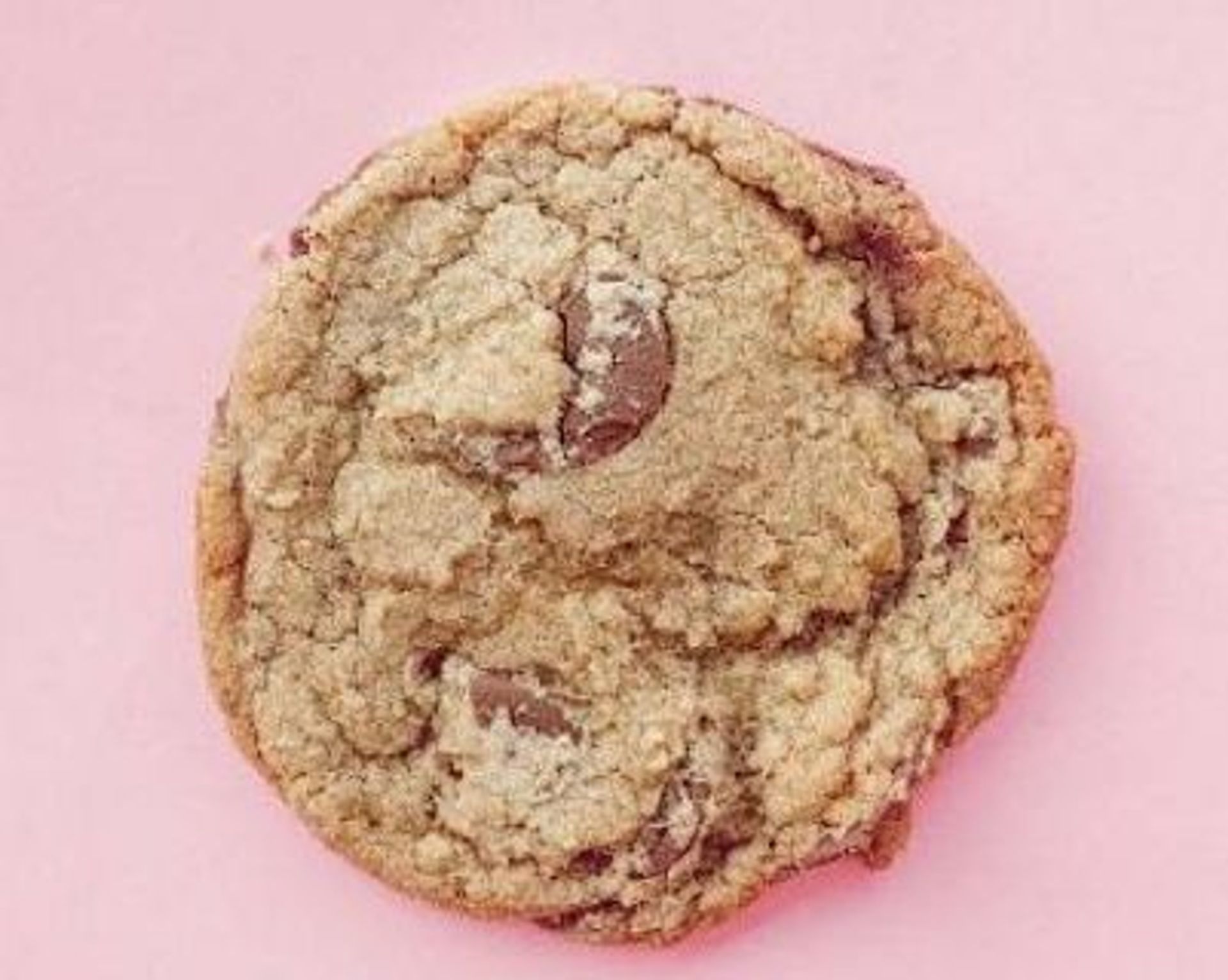 Chocolate Chip Cookie