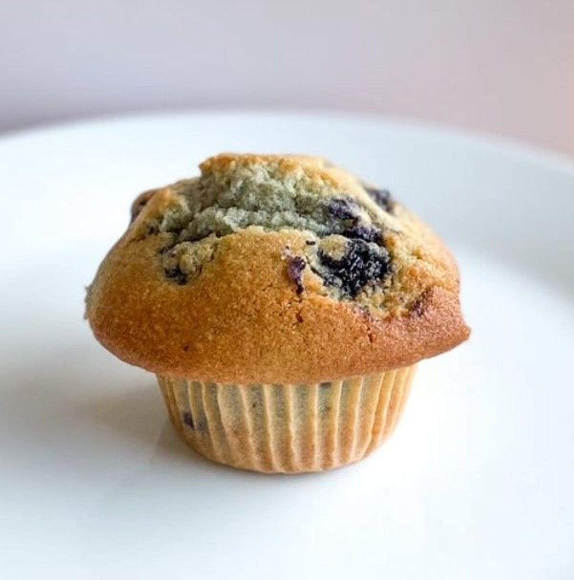 Blueberry Muffin