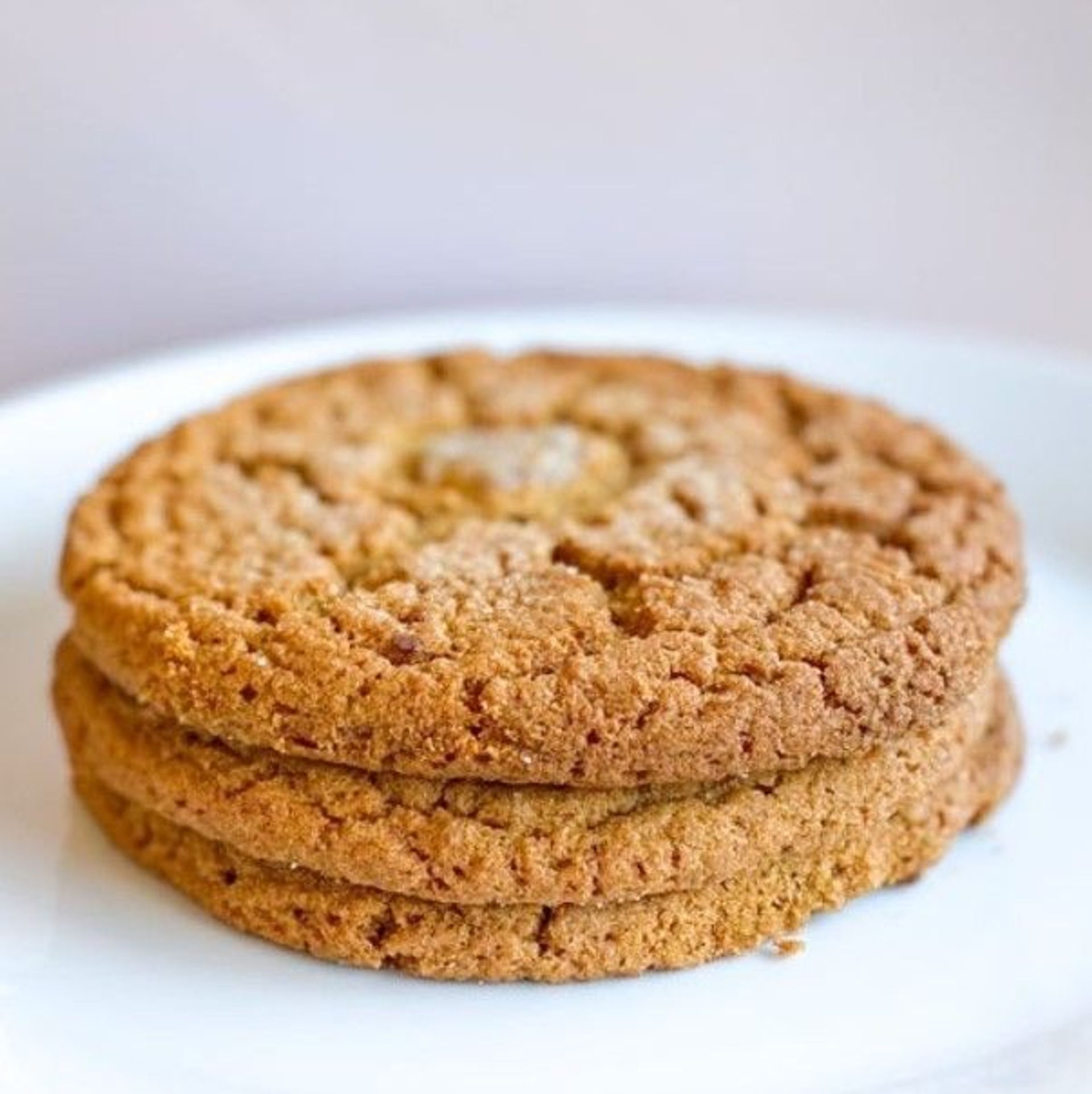 Ginger Molasses Cookie