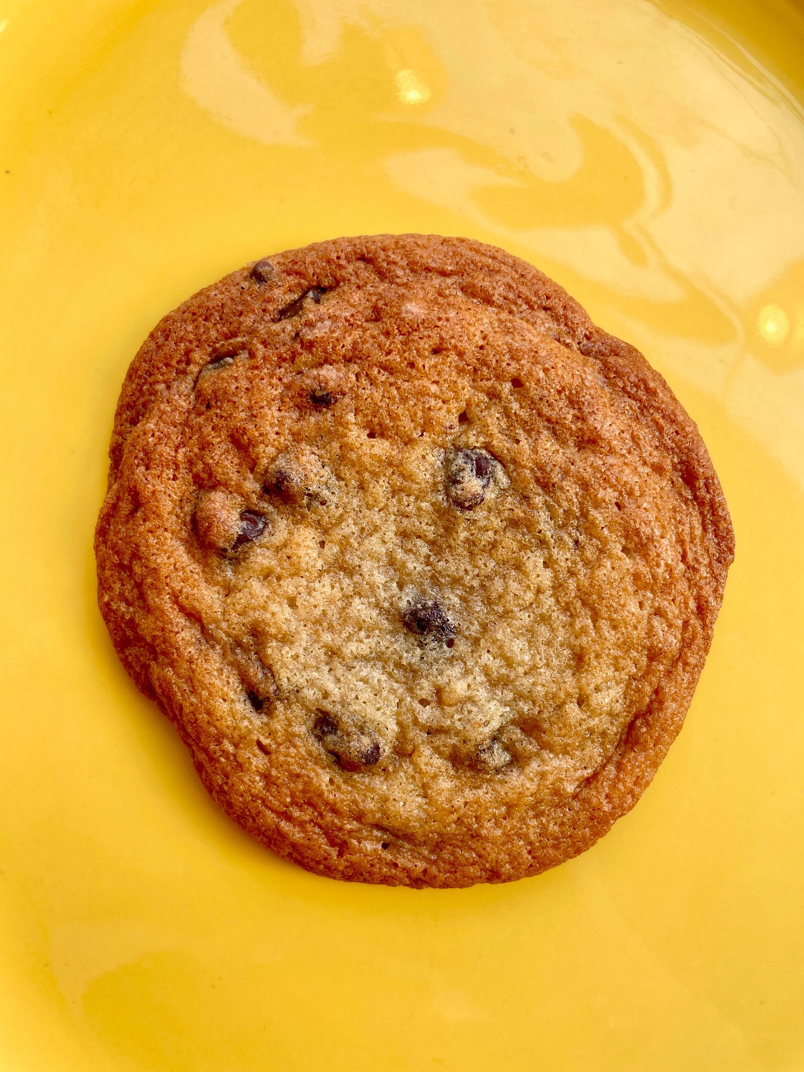 Chocolate Chip Cookie 