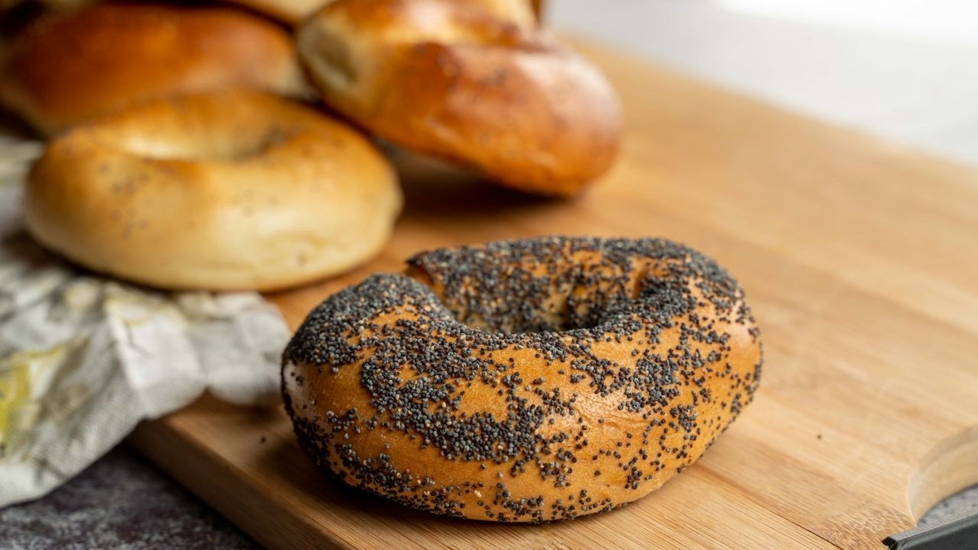 Poppy Seed Bagel