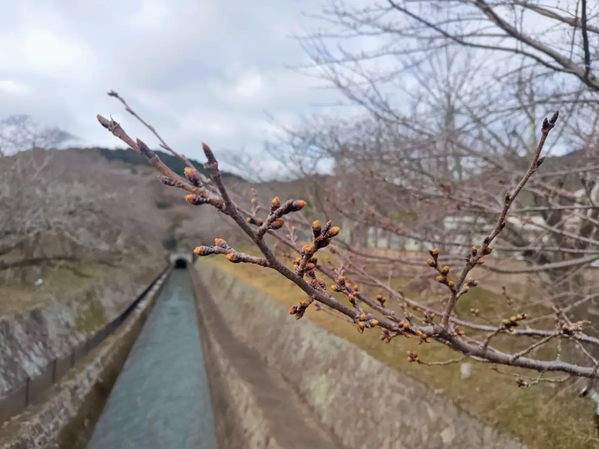 庵（あん） | ゆりかご京都