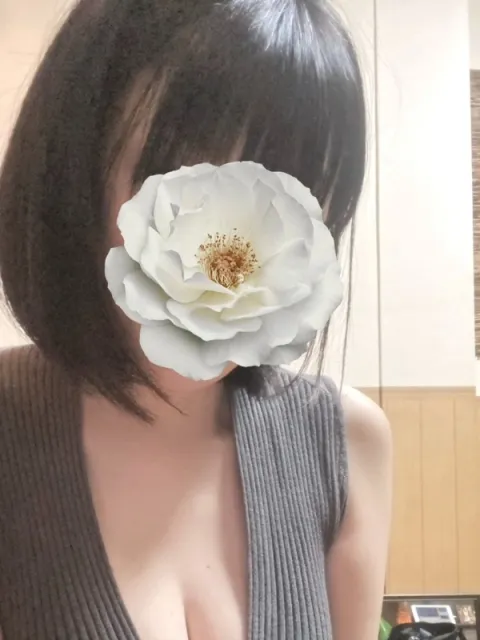 宮沢 りえ