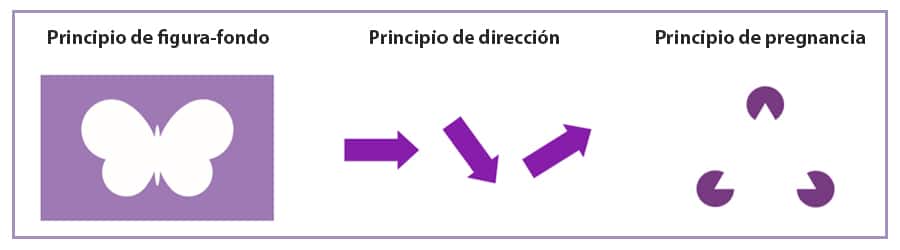 Leyes De La Gestalt Y Su Impacto En La Percepción Visual Ilerna 7960