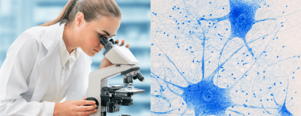 Técnica en Anatomía Patológica y Citodiagnóstico  trabajando con un microscopio. 