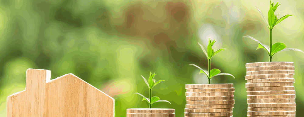 Crecimiento del capital reflejado con monedas y plantas