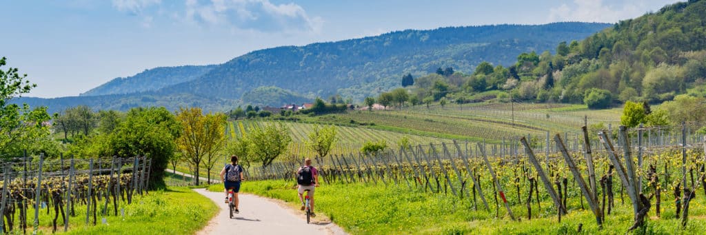 Ir en bicicleta por el campo es una actividad de turismo rural