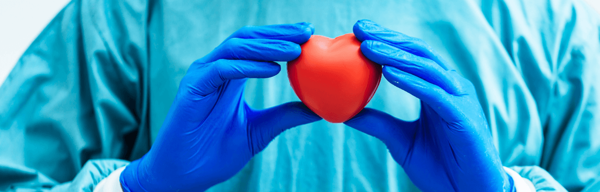 Anatomía Del Corazón Y El Sistema Cardiovascular Ilerna 9263