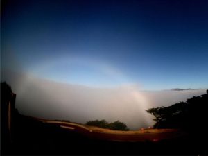 fogbows