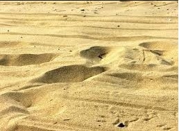 tanah pasir