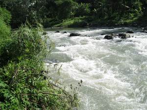 8 Sungai Yang Terdapat Di Papua Ilmugeograficom