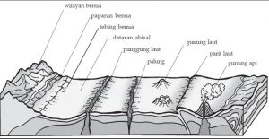 Penampang dasar laut