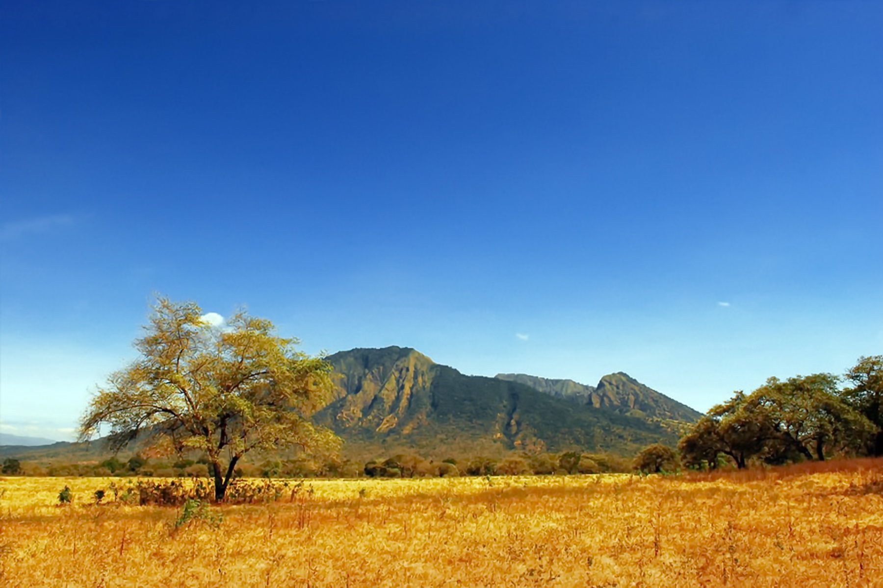 15 Pemandangan  Alam Terindah di Indonesia yang Menakjubkan 