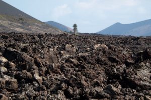  Indonesia merupakan salah satu negara di dunia yang mempunyai jajaran gunung berapi yang s 7 Ciri-ciri Tanah Vulkanik