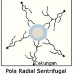 Sungai yang merupakan kenampakan permukaan Bumi yang berupa perairan yang mengalir 5 Macam Pola Aliran Sungai dan Penjelasannya Disertai Gambar