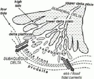  maka salah satu hal yang cukup menarik untuk di bahas yakni penyusun dari bumi itu sendi Pengertian Delta Beserta Morfologi dan Jenisnya
