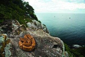 Di planet bumi ini ada banyak sekali macam kepulauan yang mempunyai potensi alam yang indah dan  5 Pulau Paling Berbahaya Di Dunia Beserta Faktanya