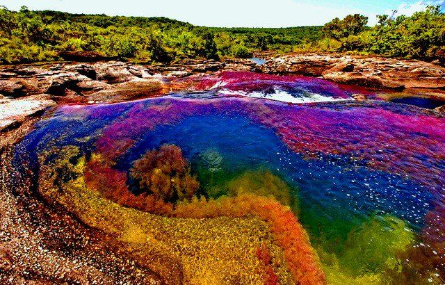 Negara Kolombia memiliki sungai yang cantik dan unik. Sungai ini memiliki lima warna, sehingga disebut Liquid Rainbow atau sungai pelangi.    Warna-warna tersebut timbul akibat tanaman ganggang yang tumbuh memenuhi sungai tersebut. Ketika ganggang tersebut bermekaran, maka Anda akan terlihat berbagai warna, mulai dari hijau, merah, biru, bahkan hitam.    Anda sebaiknya berkunjung kesana pada Bulan Oktober hingga November. Karena pada bulan tersebut Anda bisa melihat warna-warna dengan jelas.    Itulah beberapa fenomena alam menarik yang hanya dilihat di waktu tertentu. Anda bisa mempersiapkan diri untuk berkunjung kesana. Semoga dapat merasakan sensasi yang luar biasa dari fenomena-fenomena tersebut.