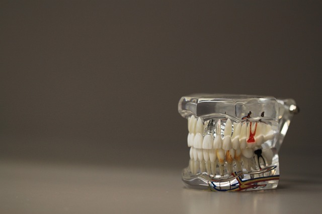 Invisalign Services in Louisville CO