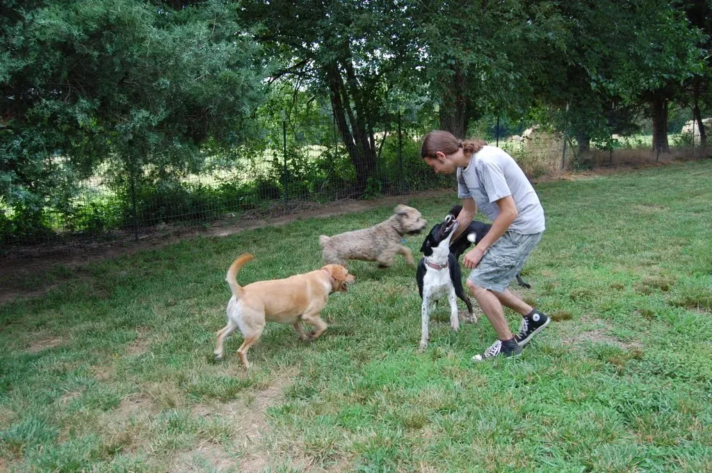 Customized Care by the Doggie Dude Ranch