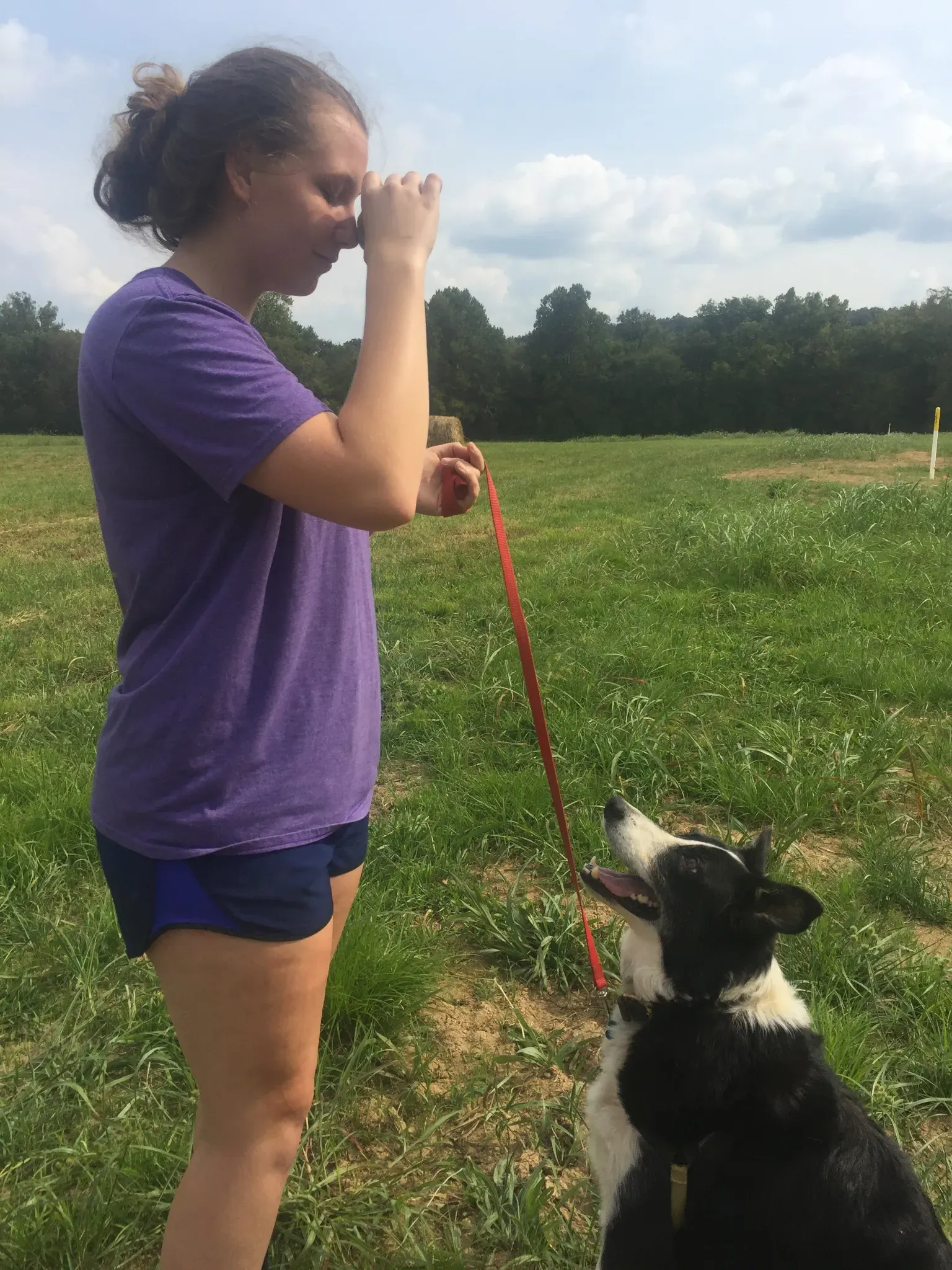 Check our routines, a day at the Doggie Dude Ranch