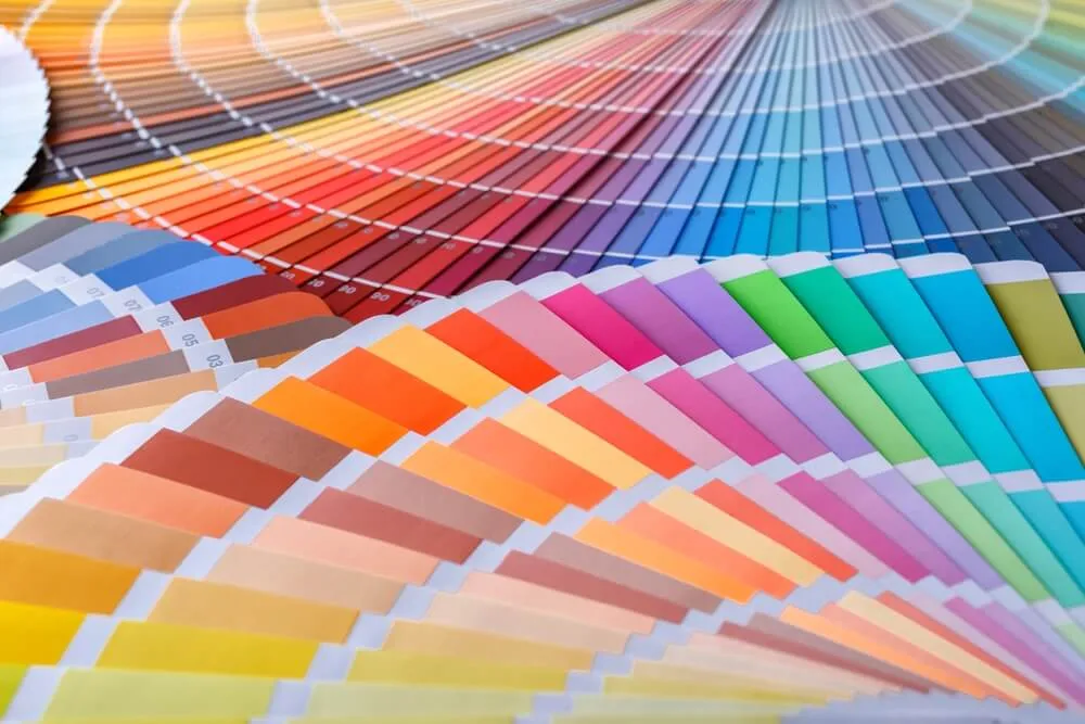 Interior design consultant presenting paint swatches during a color consultation session in Santa Barbara home.