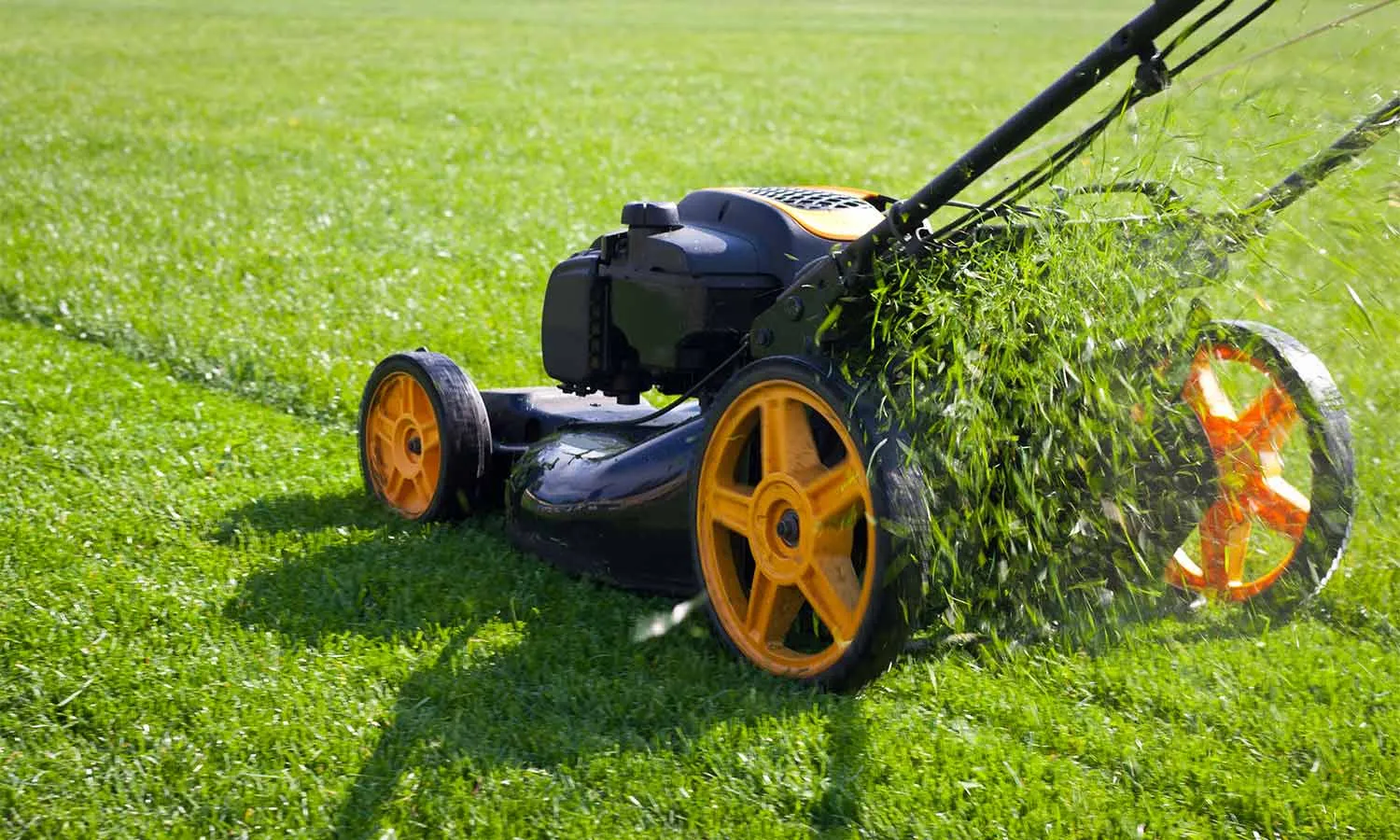 MK Lawn Solutions offers professional lawn-cutting services in Auston.