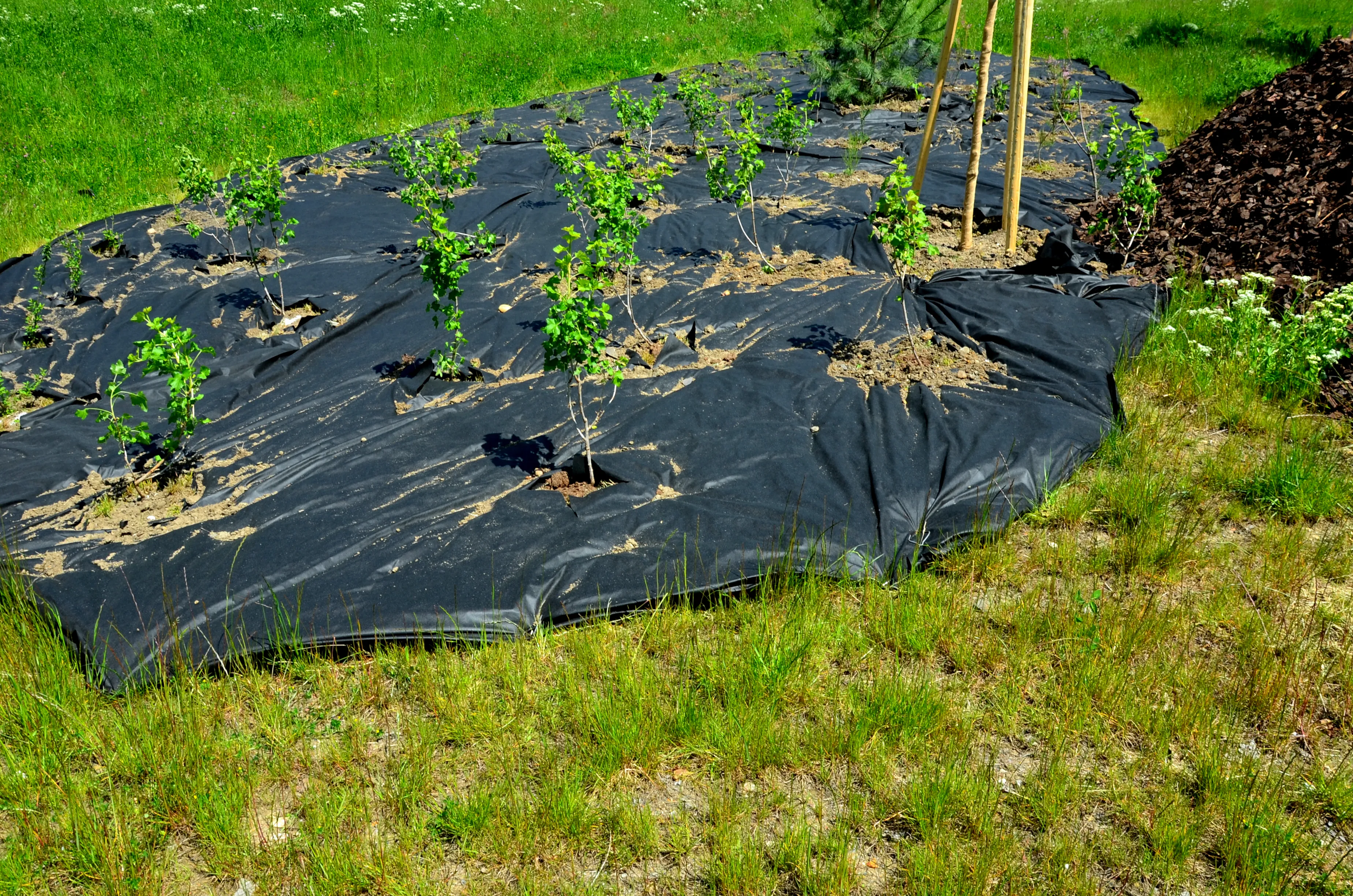 Professional mulch bed installation services are provided by MK Lawn Solutions in Austin, Texas.