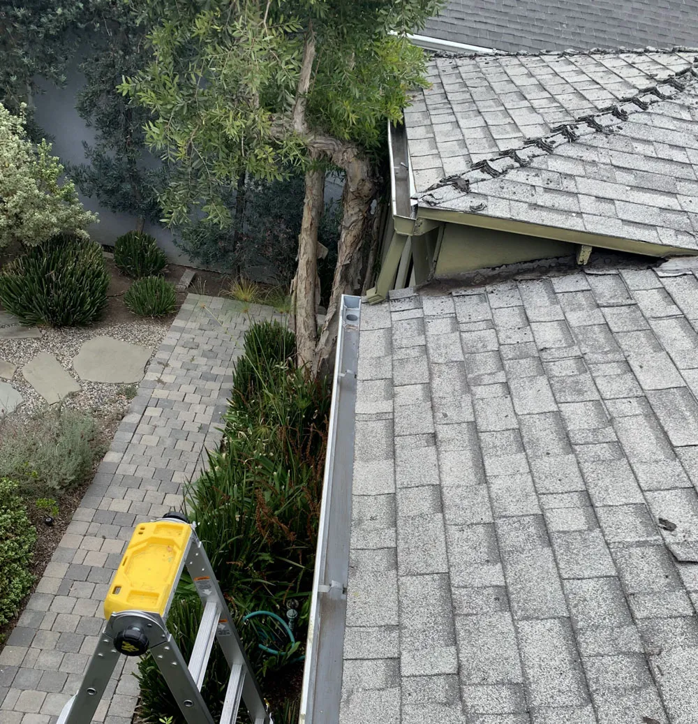 Professional gutter cleaning service in Pasadena