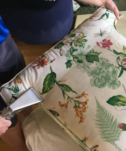 cleaning upholstery for a couch pillow in Myrtle Beach.
