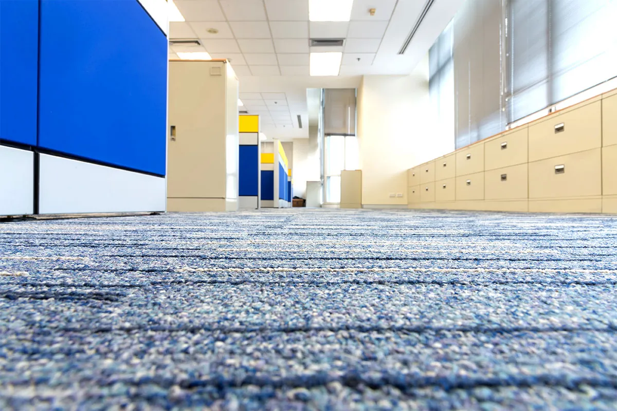 Clean office carpets.