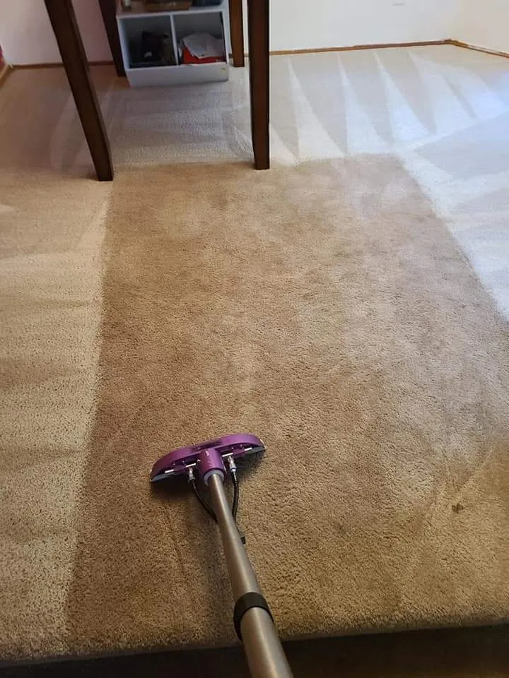 Deep cleaning process of a carpet in Bremerton, WA