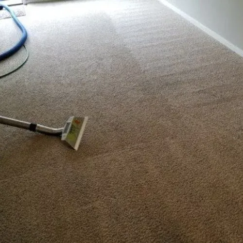 A fresh, clean carpet in Bremerton, WA