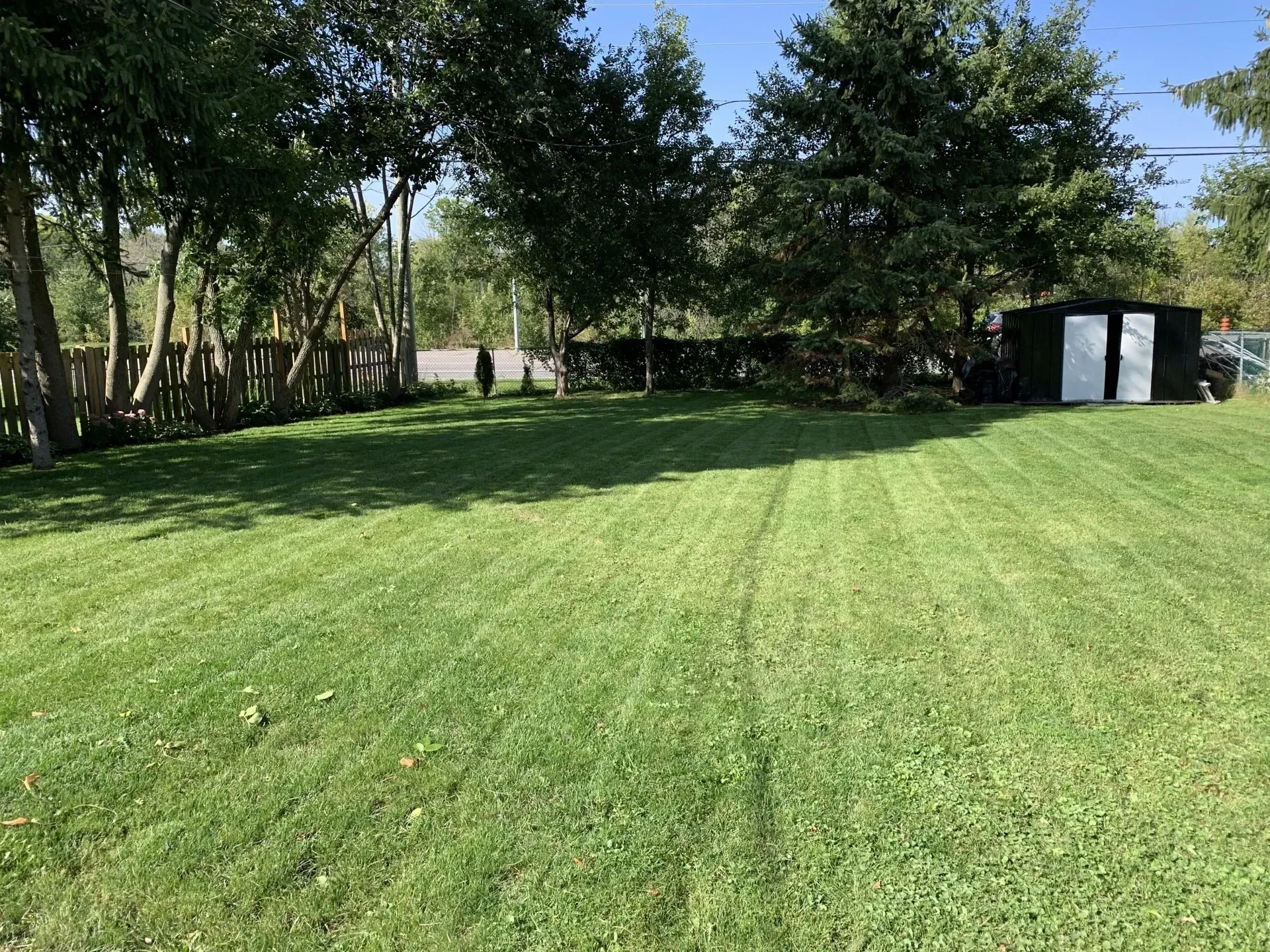 Lawn fertilizing in a yard in Kingston.