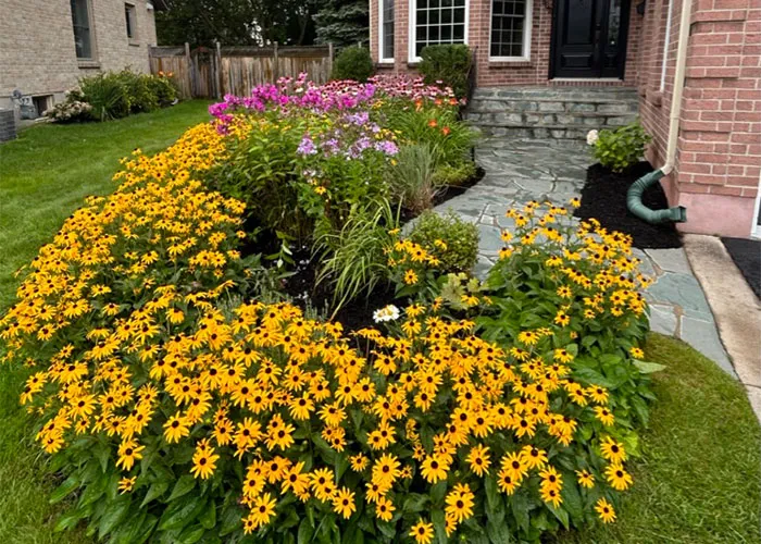 Flower bed in a front yard in Kingston.