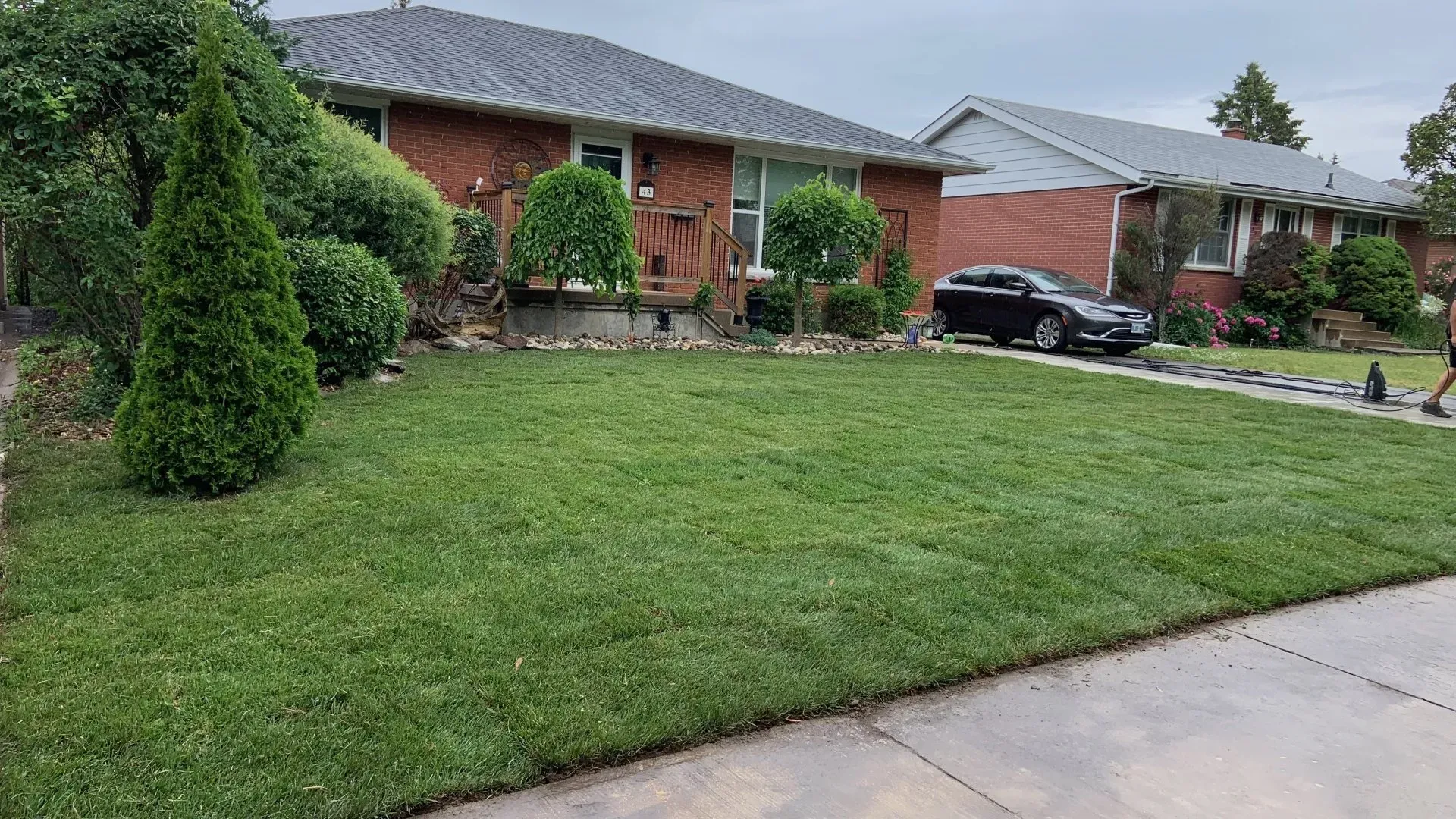 Sod that has been installed at a Kingston home by Lawn Guys Co.