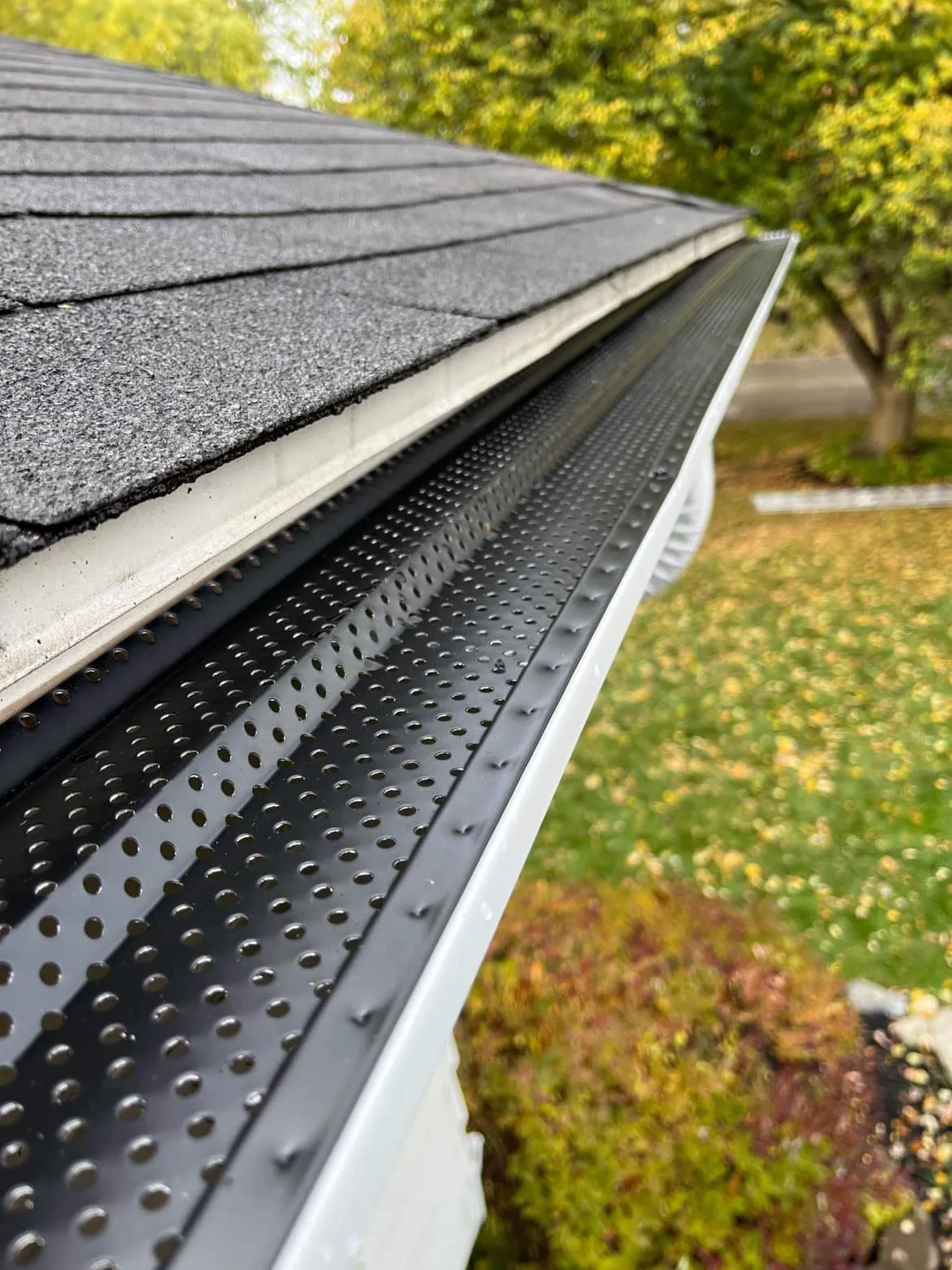 Gutter cleaning service to avoid all the debris in clogged gutters, ice dams, standing water trapped, and extra weight