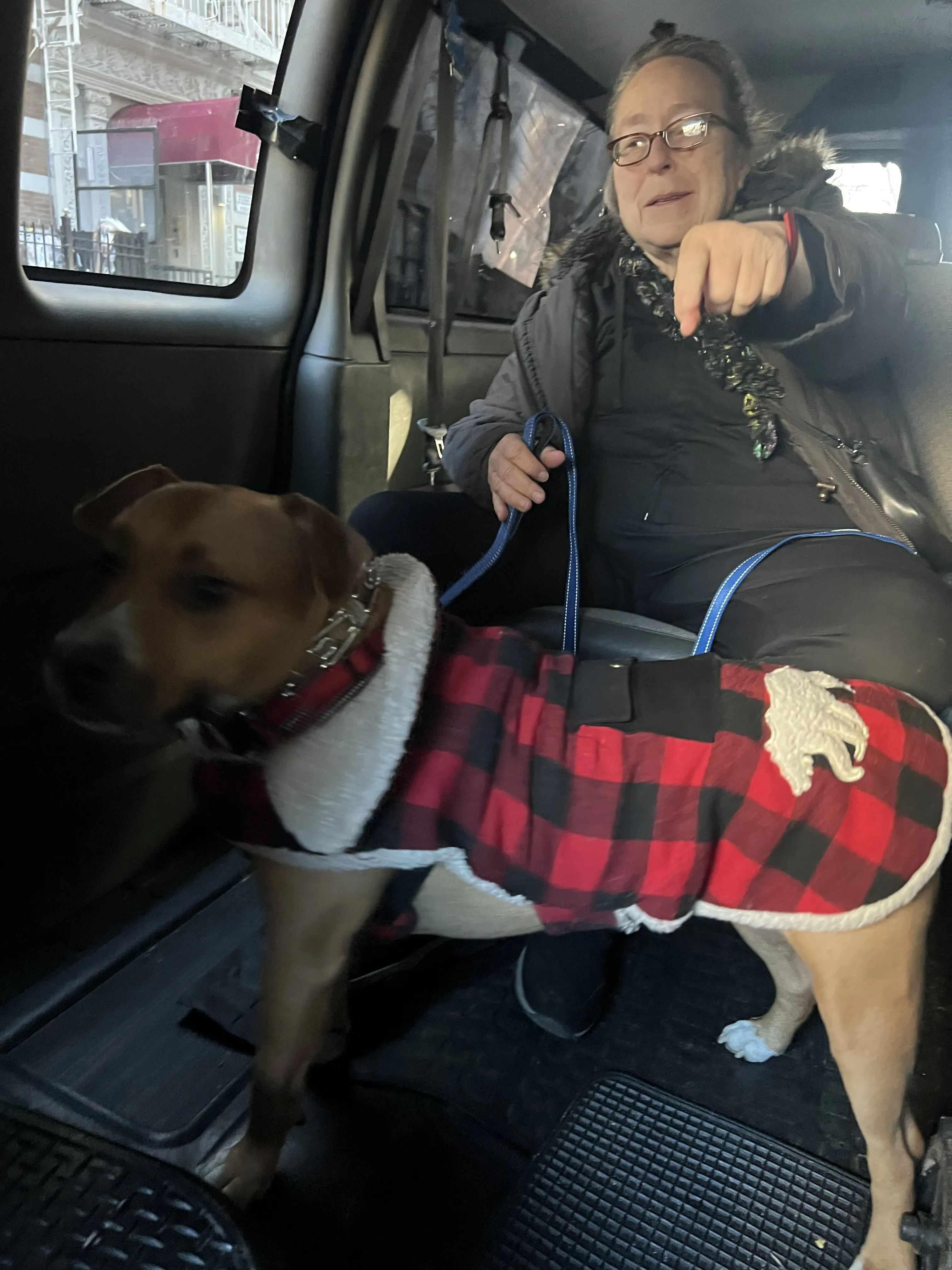 Professional team at VIP Pet Shipping preparing a pet for a safe and comfortable trip, showcasing our commitment to excellence in the Tri-State Area