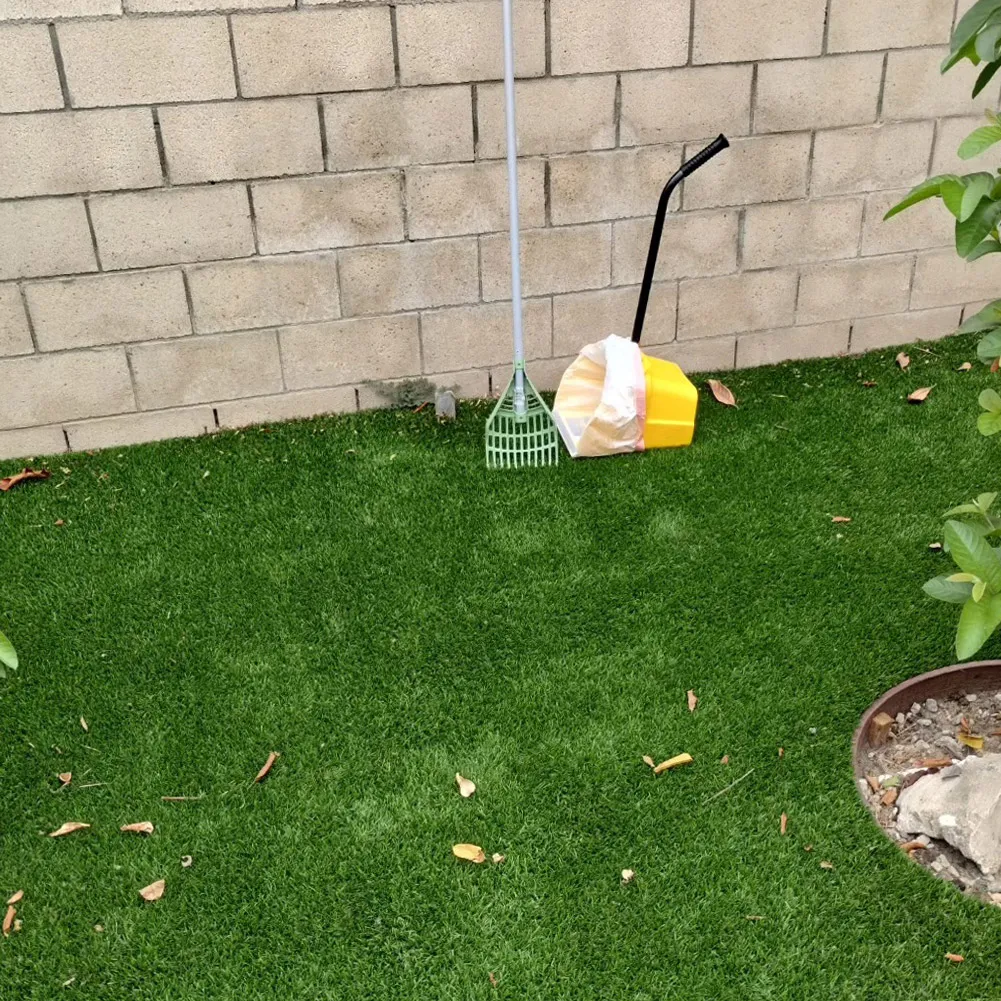 A clean yard in West Covina after 'They Pooping We Scooping' pet waste removal service.