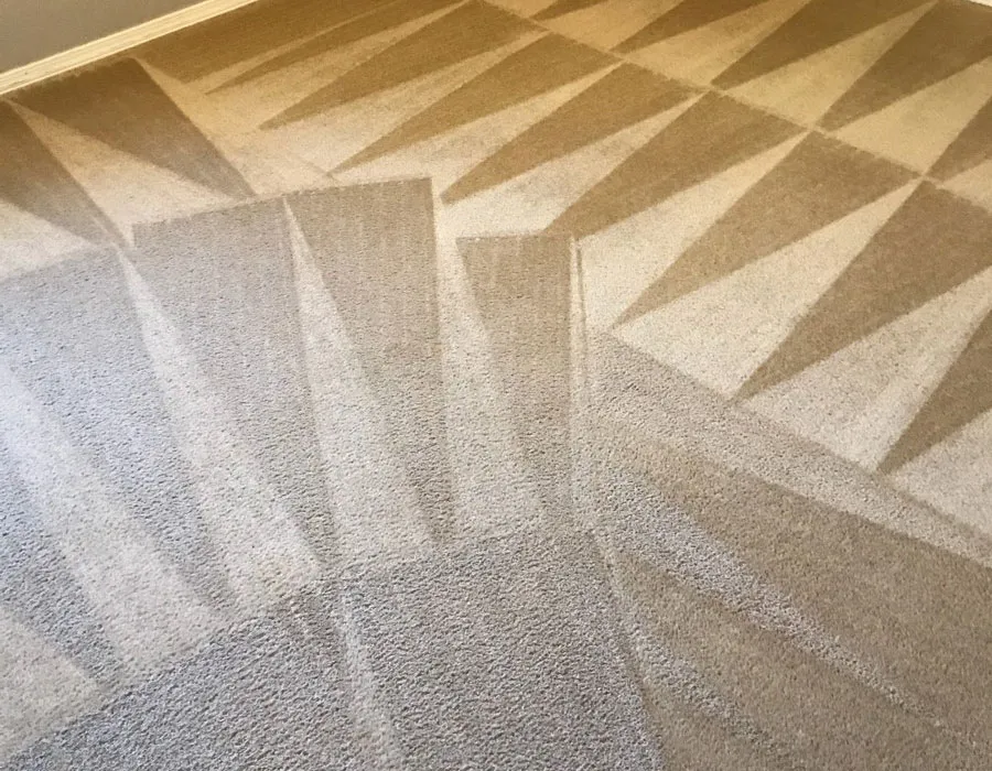 Carpets that have been professionally cleaned using expert carpet cleaning methods by Advanced Window Cleaning and Carpet Care.